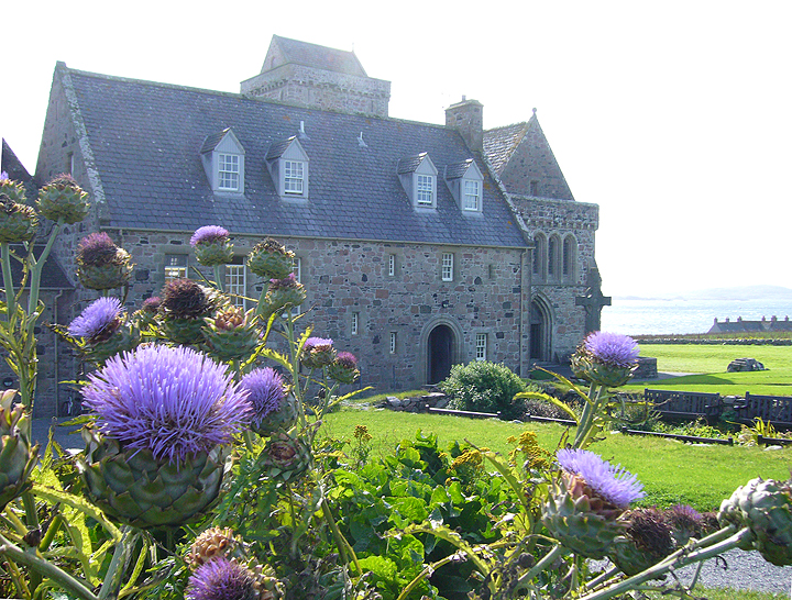 Thistles frame Abbey